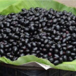जामुन के फायदे करेंगे यह 10 रोग ठीक। Health benefits of Jamun, Blackberry health benefits Jamun
