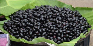 जामुन के फायदे करेंगे यह 10 रोग ठीक। Health benefits of Jamun, Blackberry health benefits Jamun