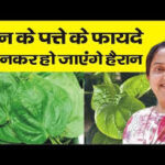 पान के पत्ते के फायदे जानकार हो जाएंगे हैरान || Betel Leaves benefits